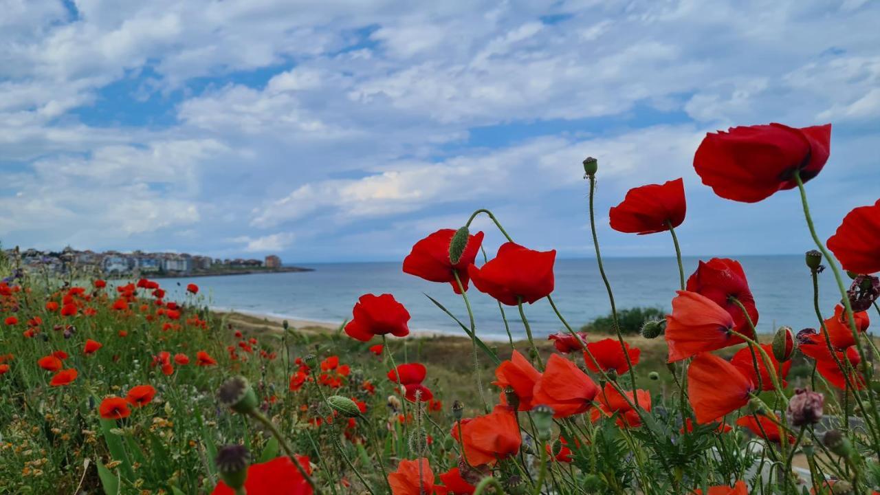 Villa Flora Sozopol Exteriör bild